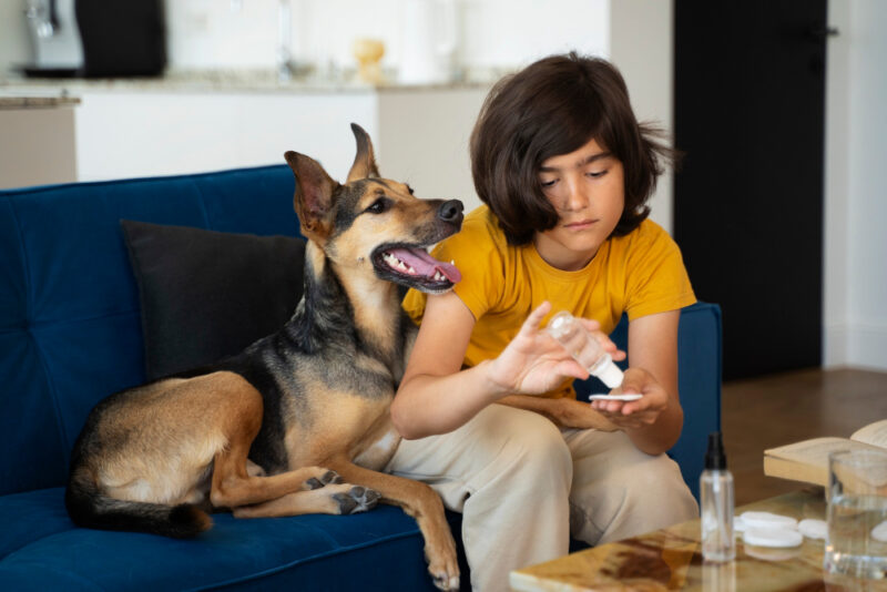 Can You Share Your Xanax With Your Dog? 2 Alternative Treatment Options for Dog