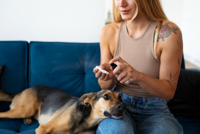 Can You Share Your Xanax With Your Dog? 1 Can You Give a Human Xanax To Your Dog